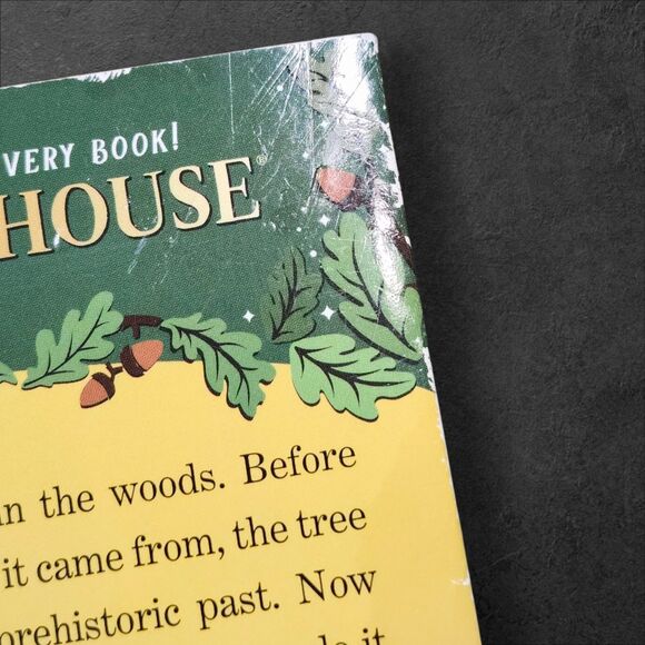 Magic Tree House Lot of 4 Dinosaurs Ghosts Wizards & Christmas Early Prints - Picture 4 of 9